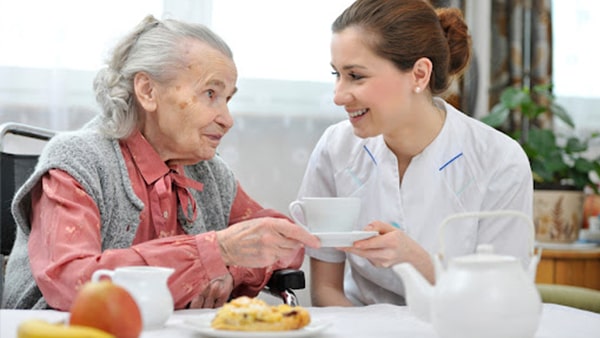 Domestic & Home Help